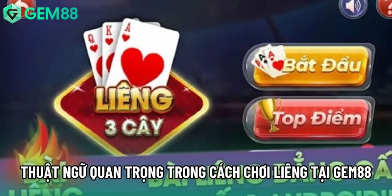 Thuật ngữ quan trọng trong cách chơi liêng tại Gem88